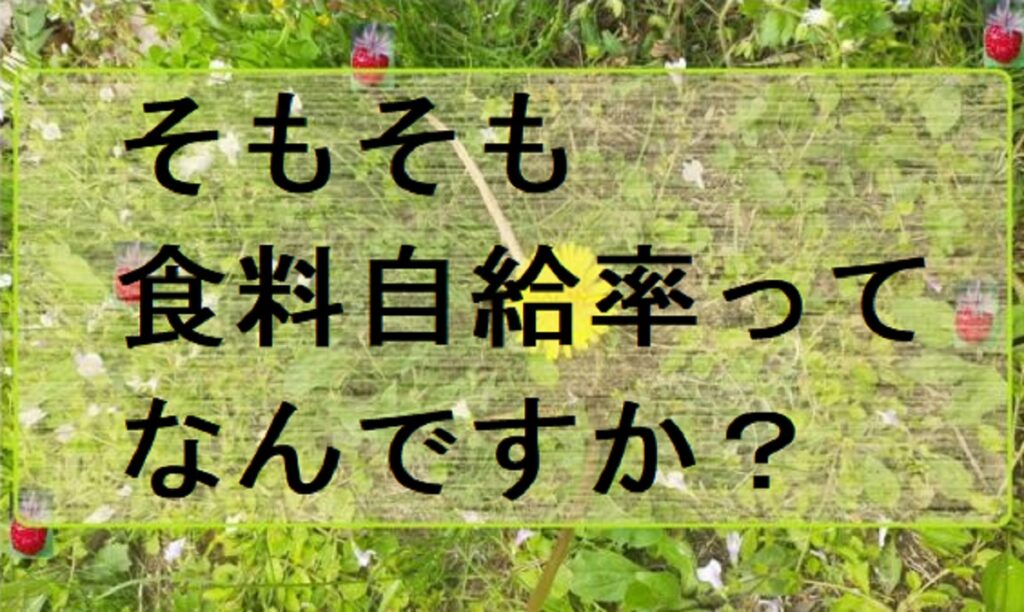 森下（もりした）千里さんが問い詰められた食料自給率とは何だろう？