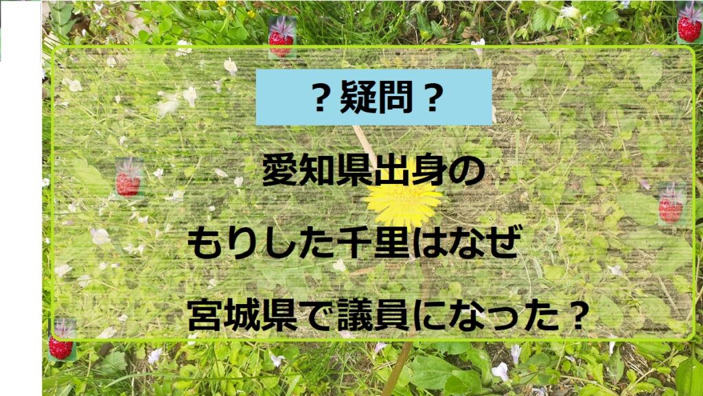 森下千里は石巻に移住したのはなぜ？宮城からの選挙に臨んだ理由とは